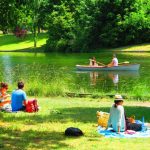 غابة بولونيا3