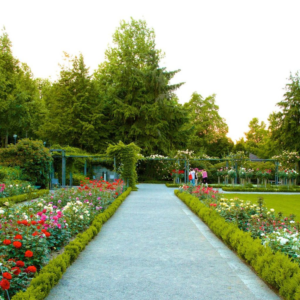 غابة بولونيا4