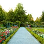 غابة بولونيا4