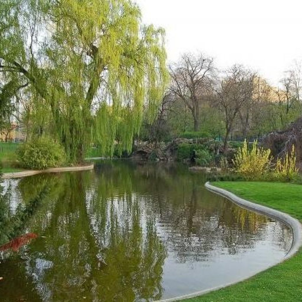 غابة بولونيا5