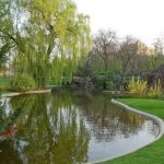 غابة بولونيا5