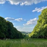 غابة مودون باريس2