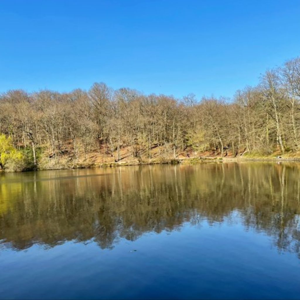 غابة مودون باريس3