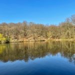 غابة مودون باريس3