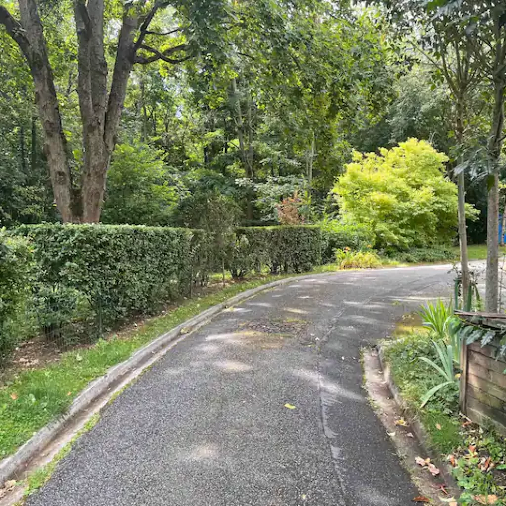 غابة مودون باريس5