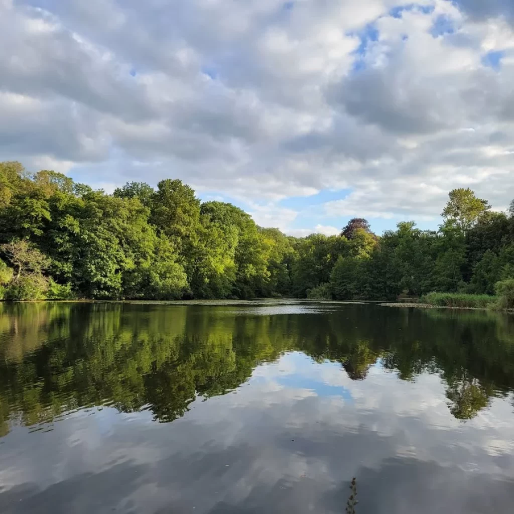 غابة مودون باريس6