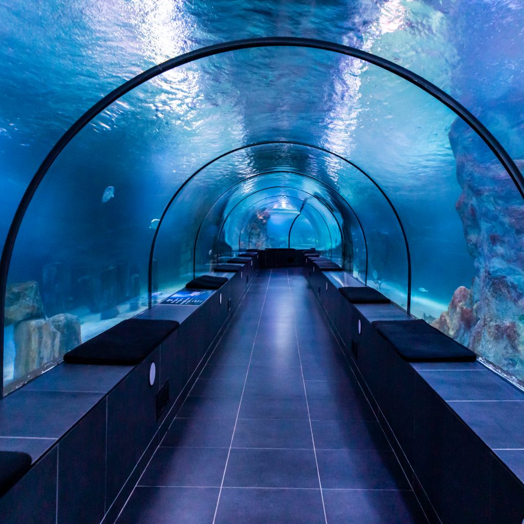 فلوريا اكواريوم اسطنبول ١