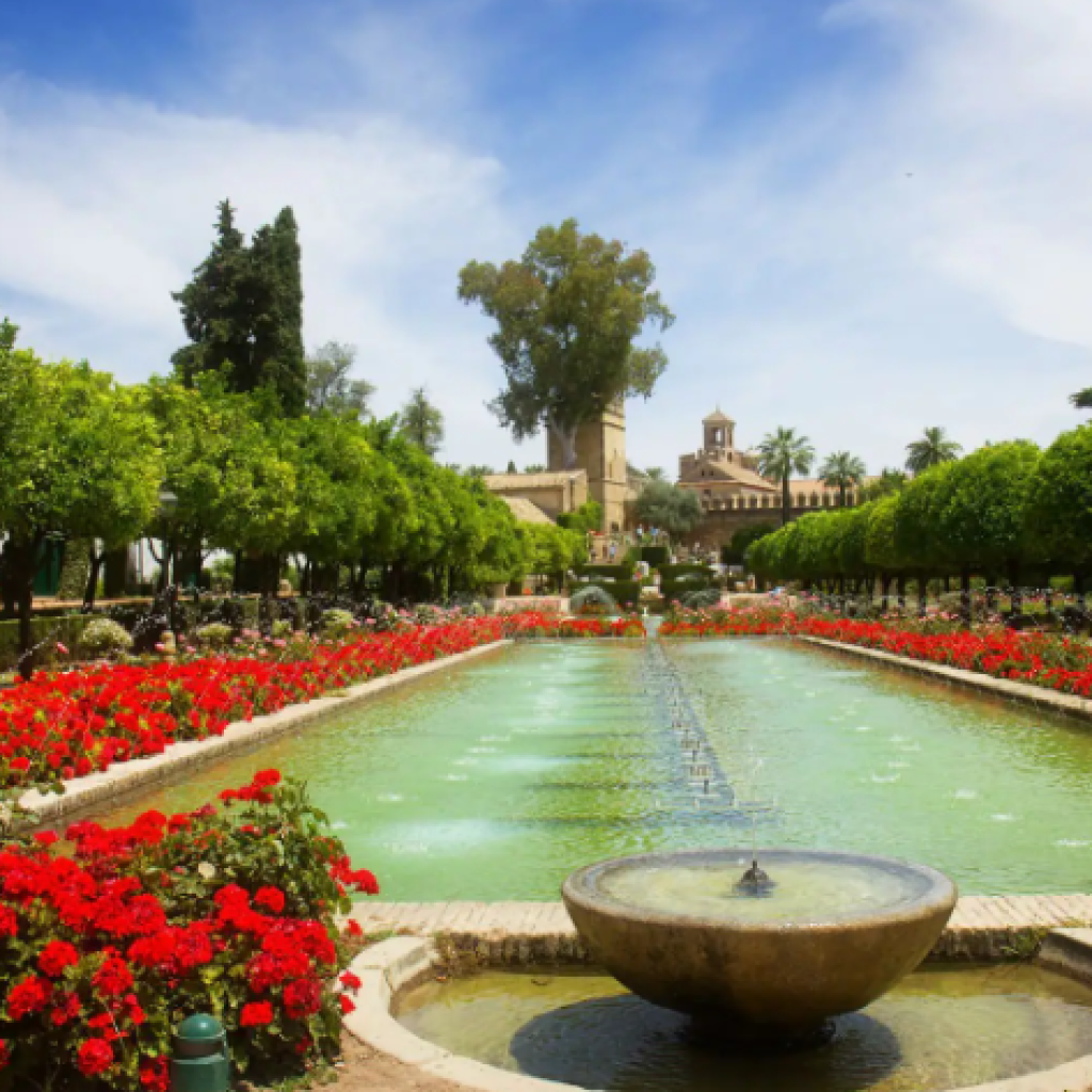 رحلة من مدينة مدريد إلى مدينة قرطبة ٣