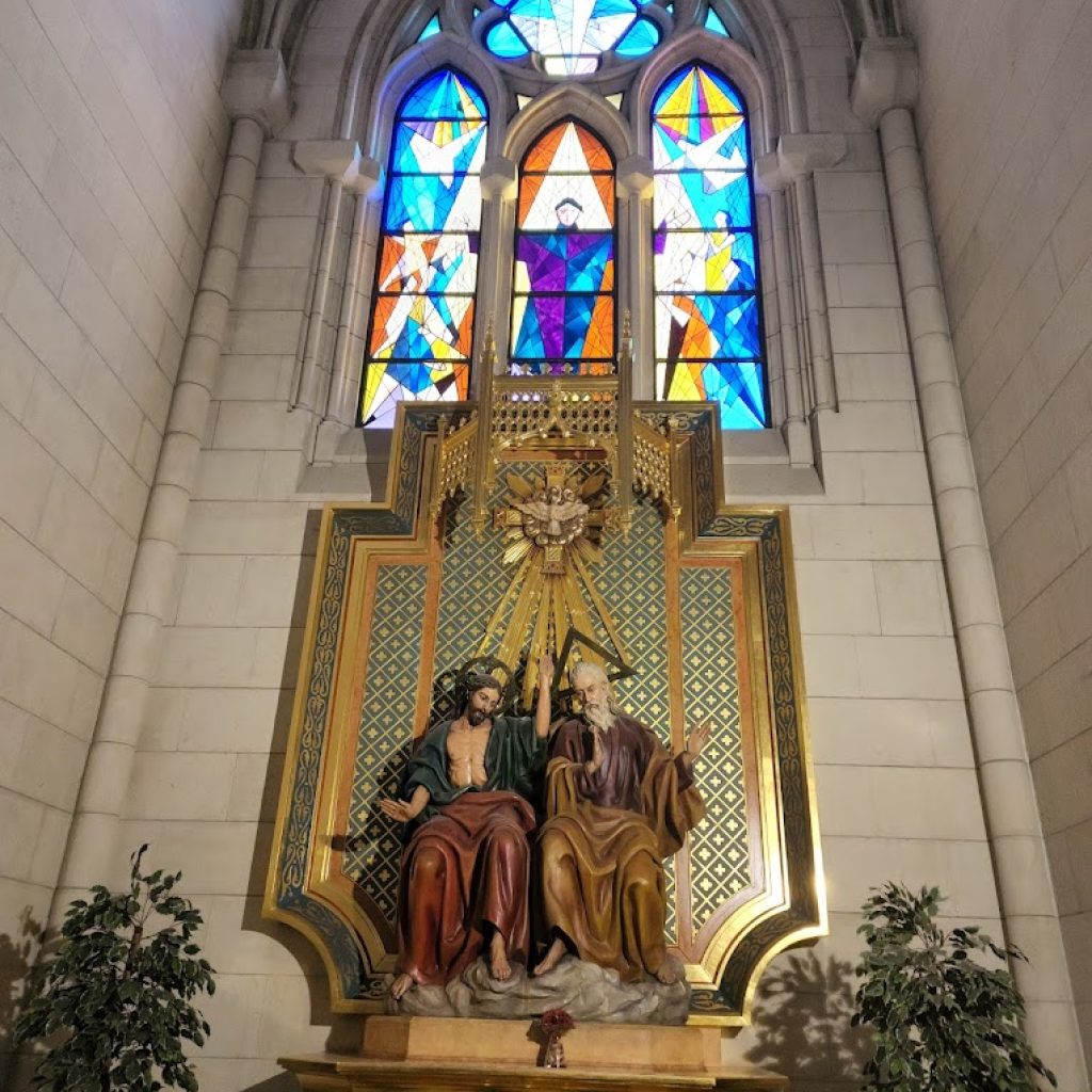 كاتدرائية المودينا ٦