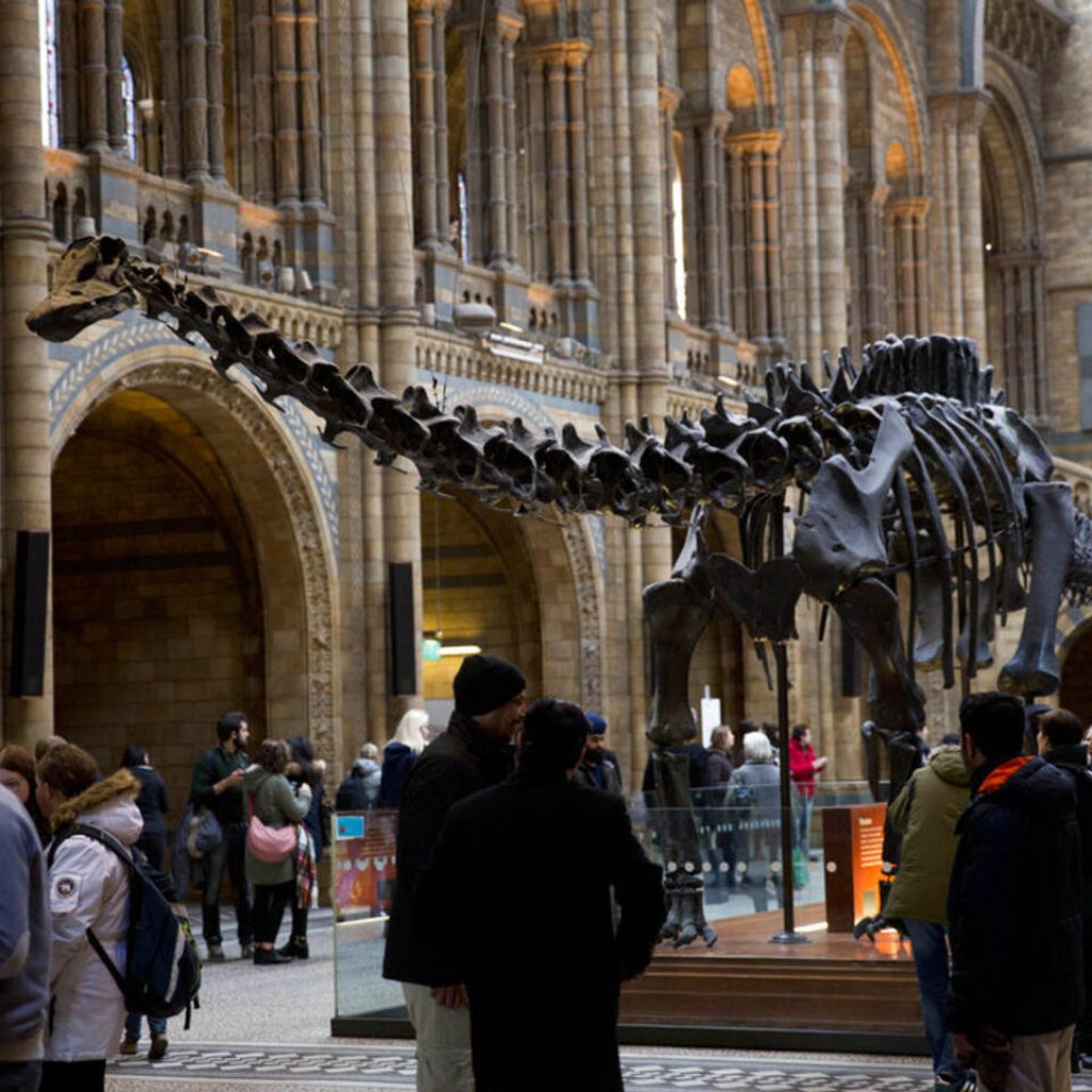 متحف التاريخ الطبيعي في لندن3