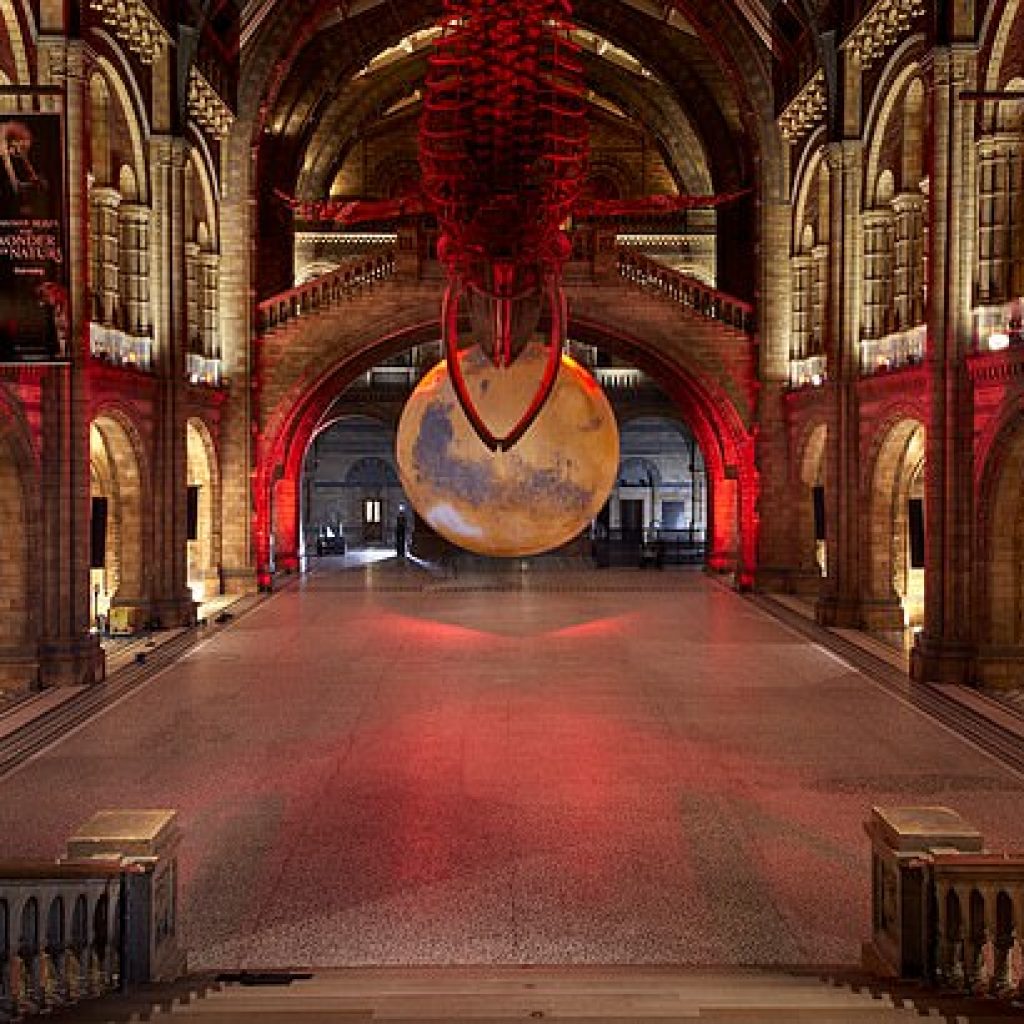 متحف التاريخ الطبيعي في لندن4