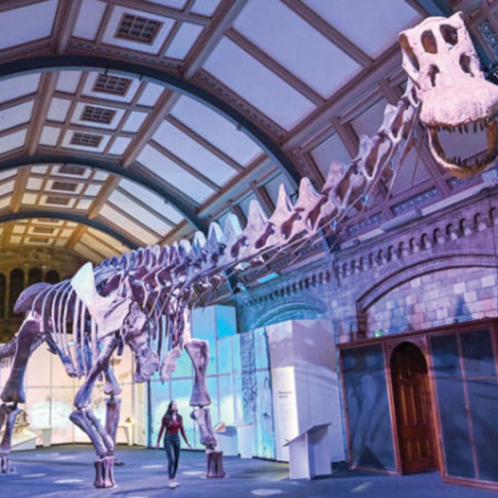 متحف التاريخ الطبيعي في لندن5