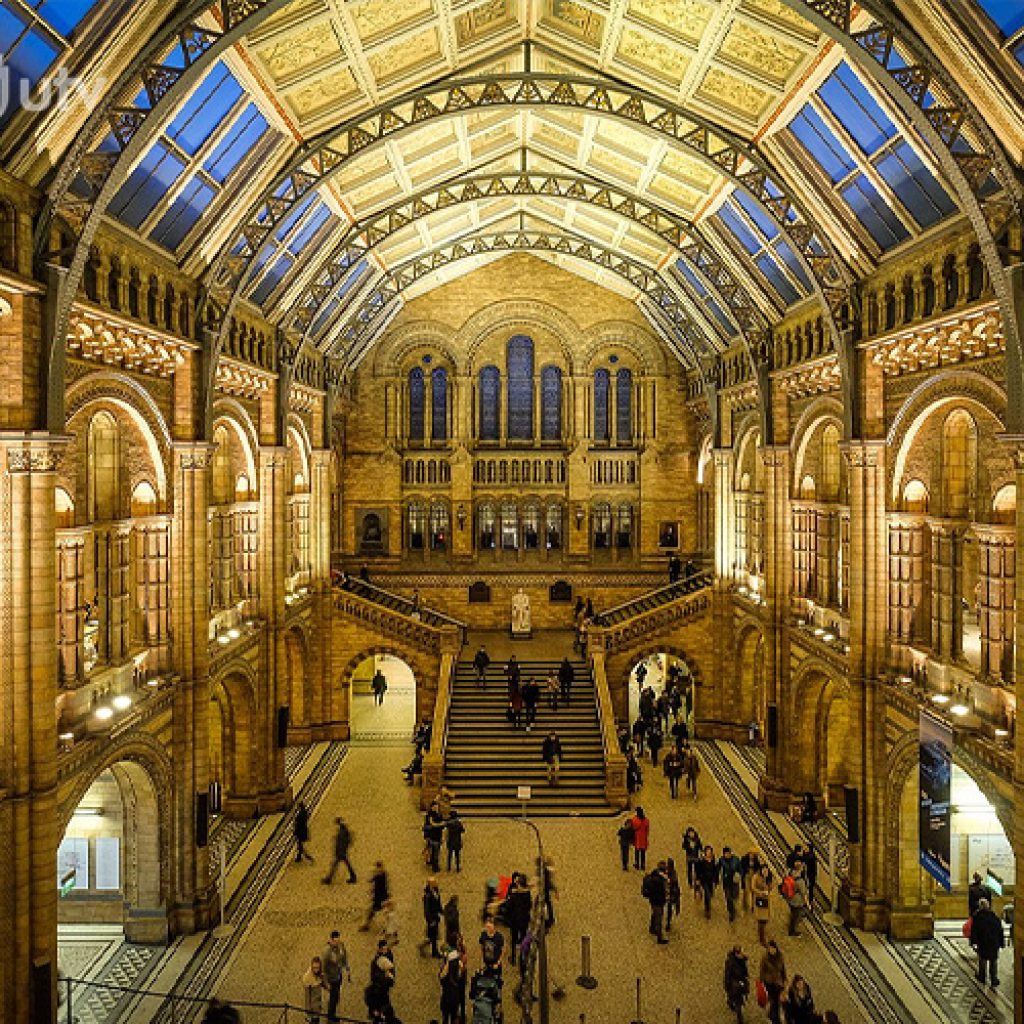 متحف التاريخ الطبيعي في لندن6