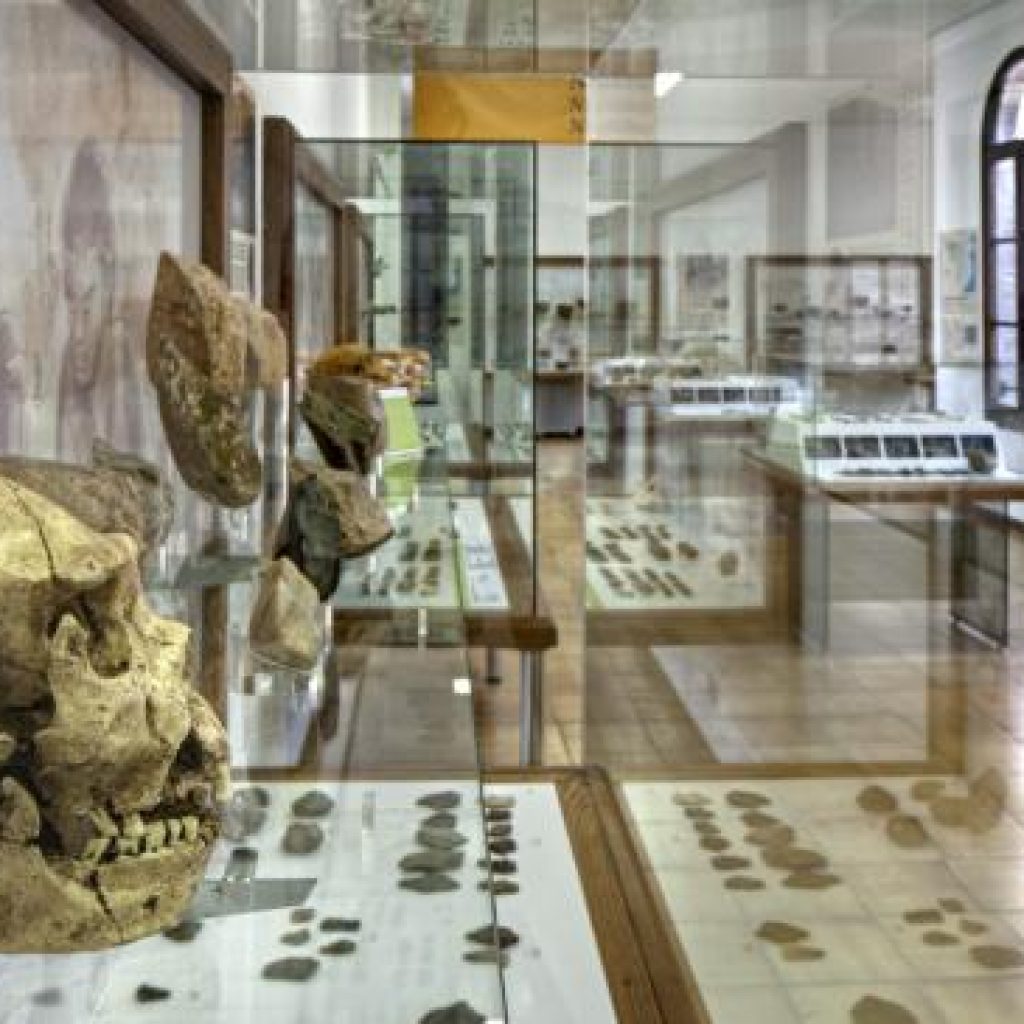 متحف الكاتالوني للآثار