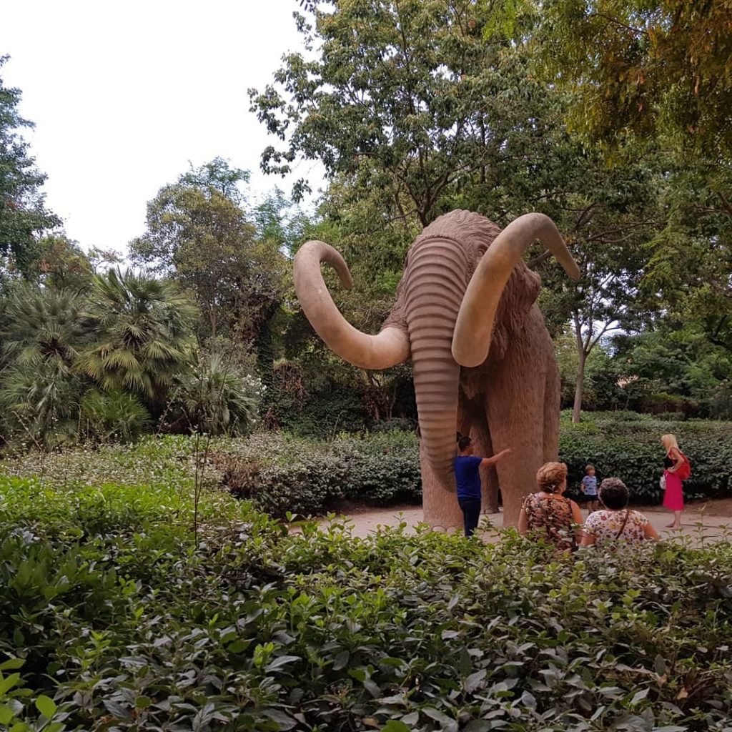 متنزه سيوتاديلا