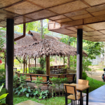 محمية بوكيت للفيلة ١