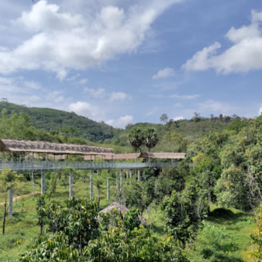 محمية بوكيت للفيلة ٥