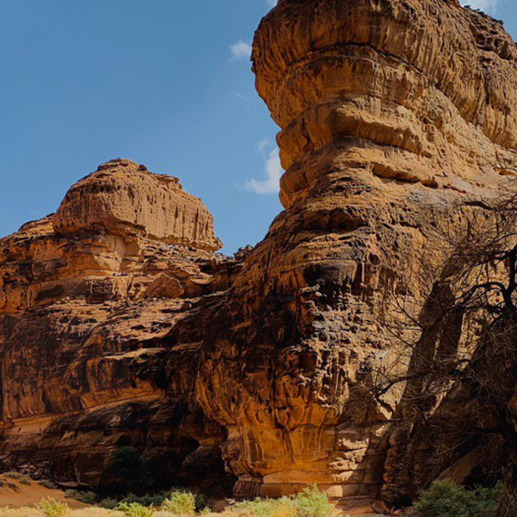 محمية شرعان الطبيعية 1