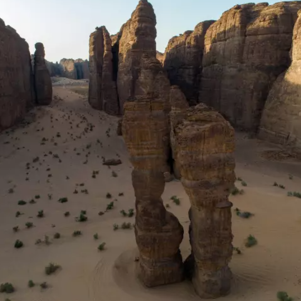 محمية شرعان الطبيعية 4