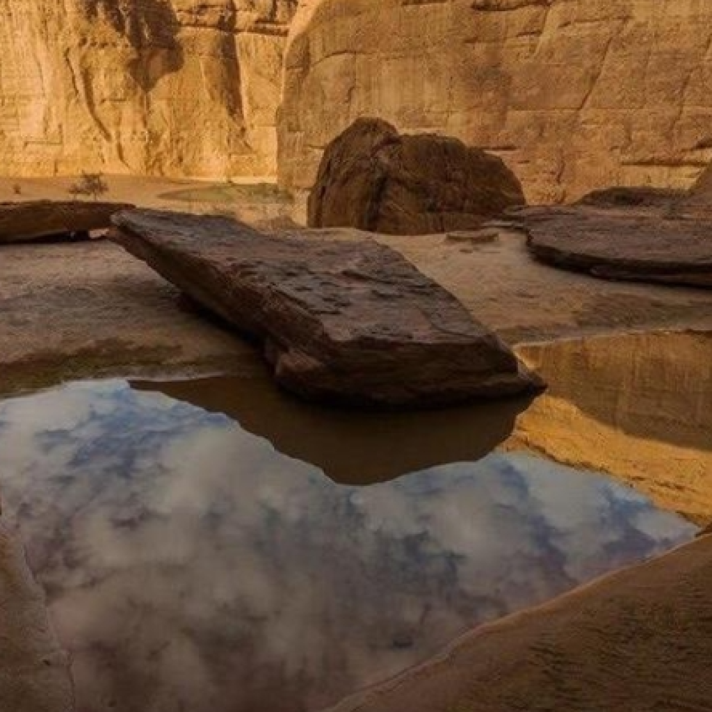 محمية شرعان الطبيعية 5