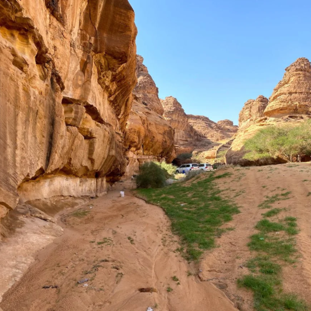 محمية شرعان الطبيعية