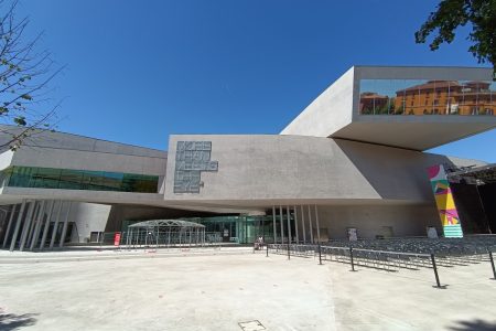مركز الفنون الحديثة بروما ماكسي (3)