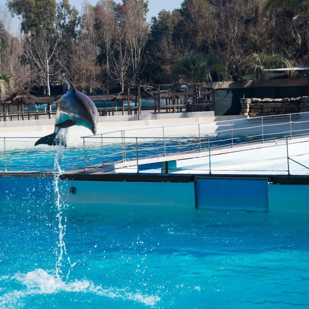 ملاهي زومارين المائية روما (2)