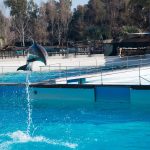 ملاهي زومارين المائية روما (2)