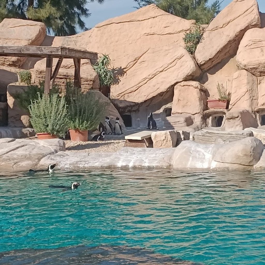 ملاهي زومارين المائية روما (6)