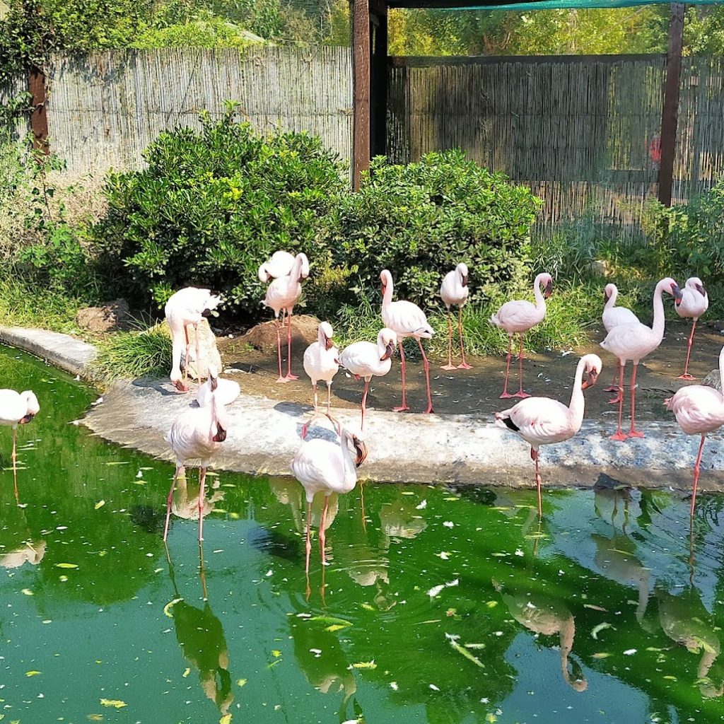 ملاهي زومارين المائية روما (7)