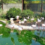 ملاهي زومارين المائية روما (7)