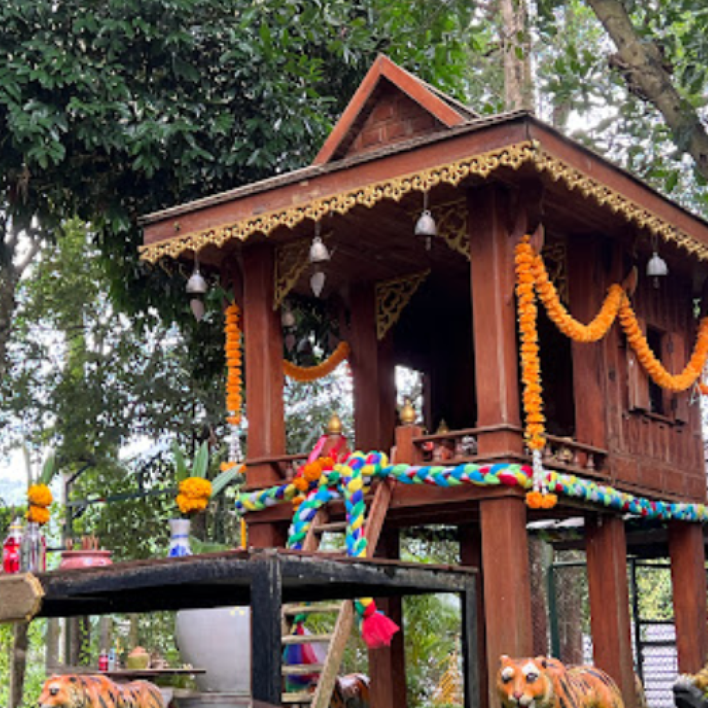 مملكة النمر بوكيت - تايجر كينجدوم بوكيت ٣