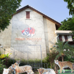 مملكة النمر بوكيت - تايجر كينجدوم بوكيت ٥