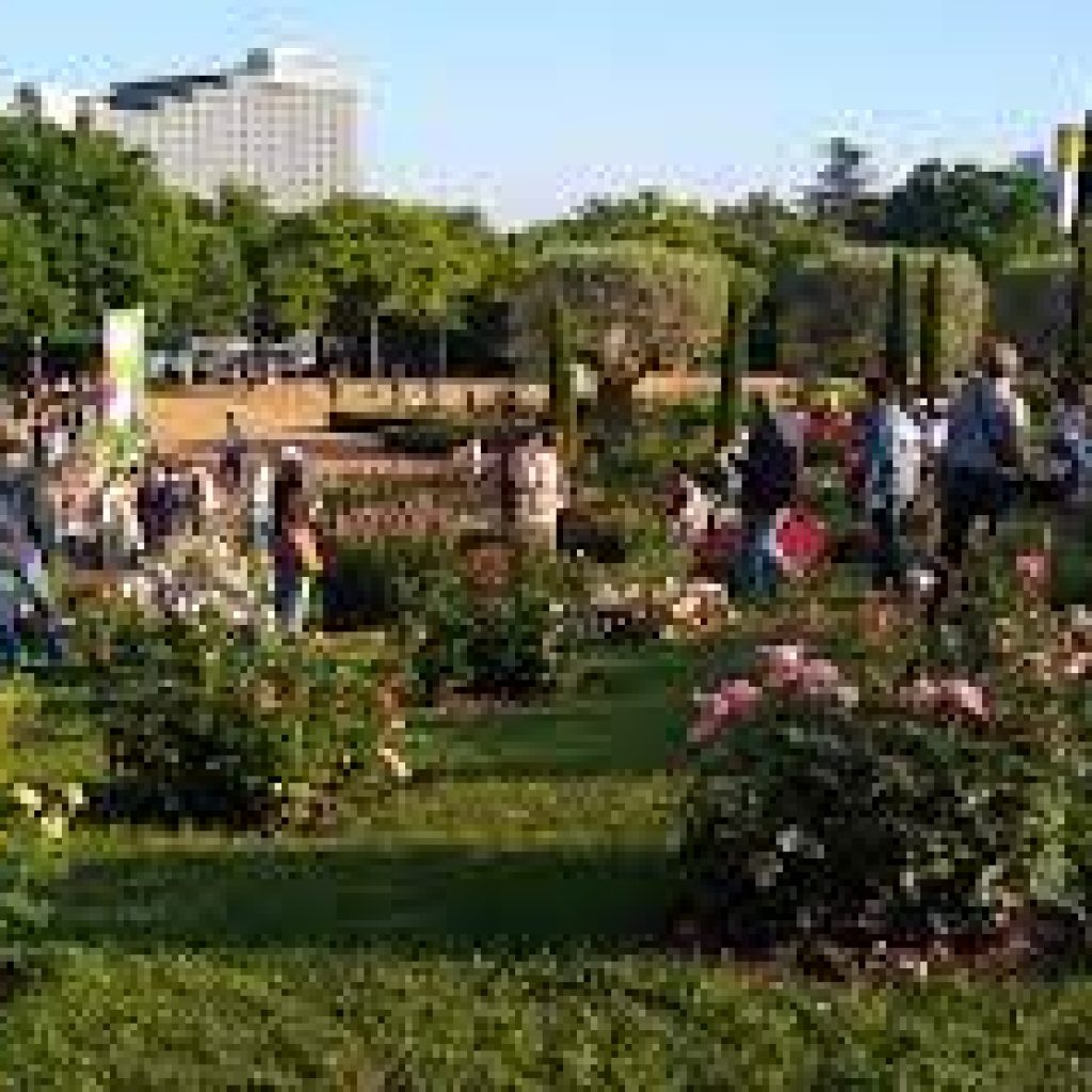 منتزه دي ثيرفانتيس