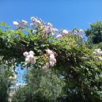 منتزه دي ثيرفانتيس