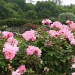 منتزه دي ثيرفانتيس