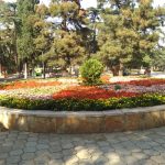 منتزه فيرا11