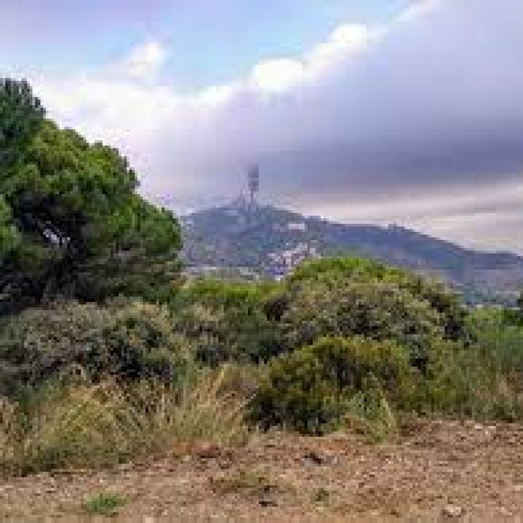 منتزه كولسيرولا الطبيعي