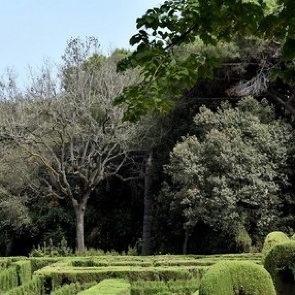 منتزه لابيرينث (حديقة ديل لابرينط دوهورطا)