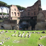 هضبة بلاتين (4)