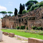 هضبة بلاتين (5)