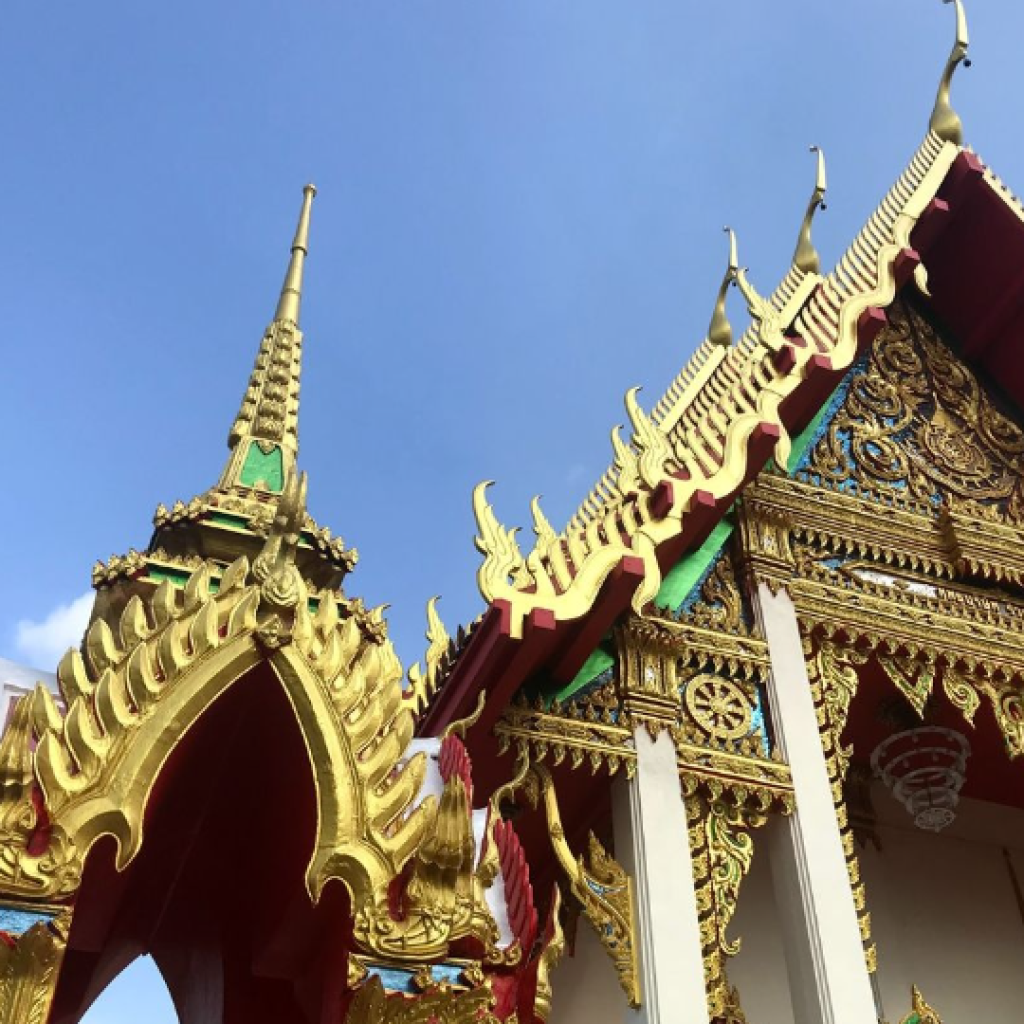 وات سوان خيرى خت ٣