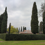 وادي كافاريلا (1)