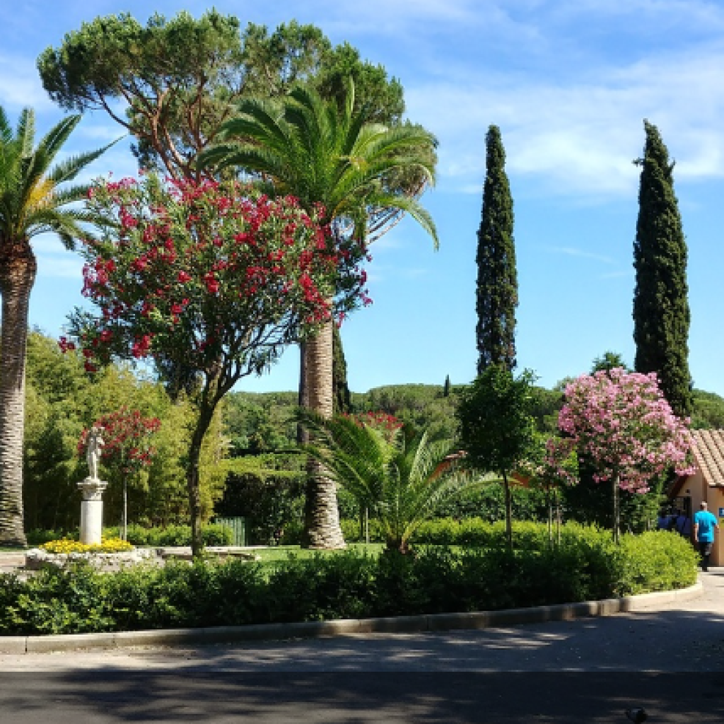 وادي كافاريلا (5)