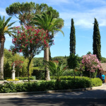 وادي كافاريلا (5)