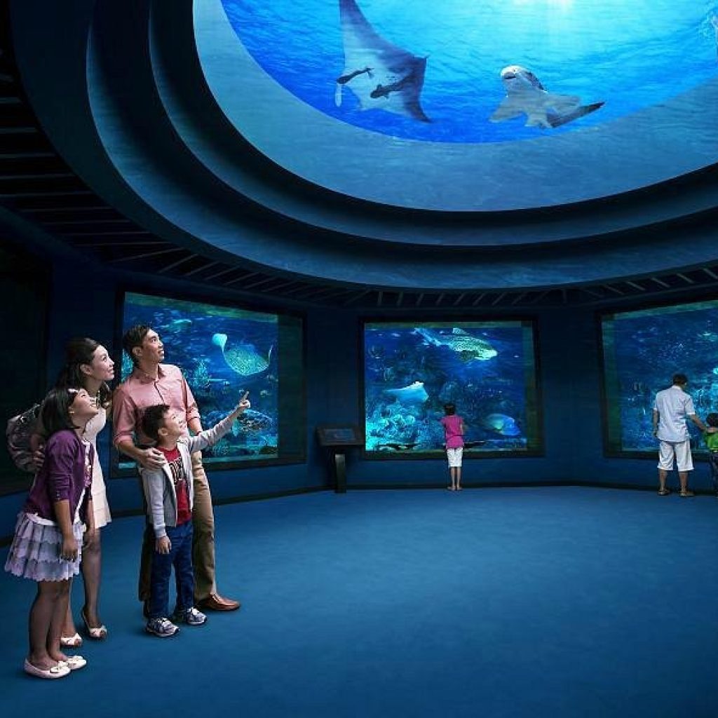 حديقة سي اي اه المائية