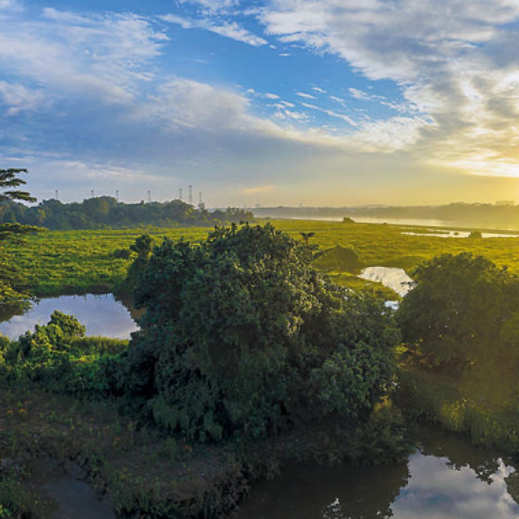 أهم المعالم و الأنشطة السياحية في مدينة سنغافورة