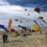 رحلة من مدينة نيويورك إلى مدينة نيو جيرسي4