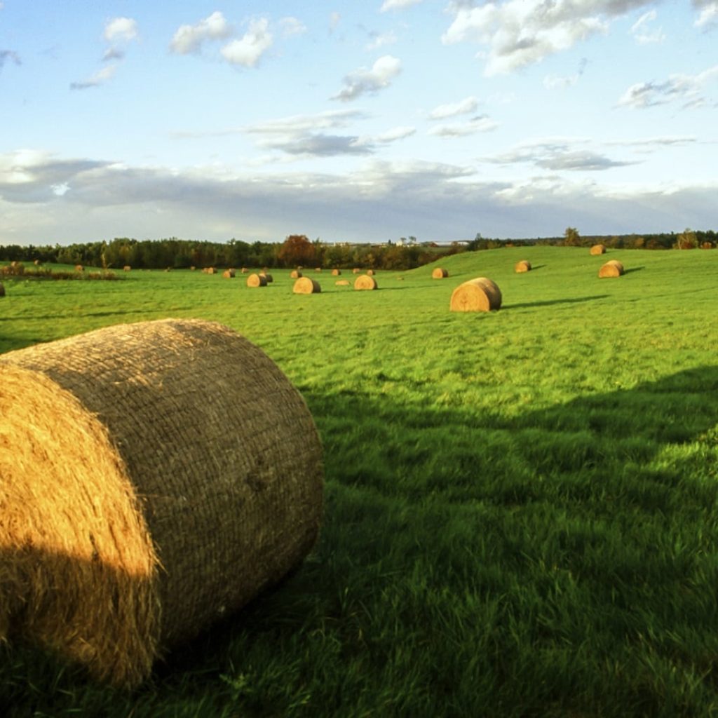 رحلة من مدينة نيويورك إلى مدينة بنسلفانيا4