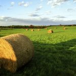 رحلة من مدينة نيويورك إلى مدينة بنسلفانيا4